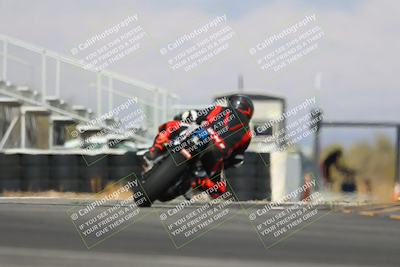 media/Mar-01-2025-Race Pace (Sat) [[ebf7b6e548]]/17-Vested (Turn 16) 210pm/